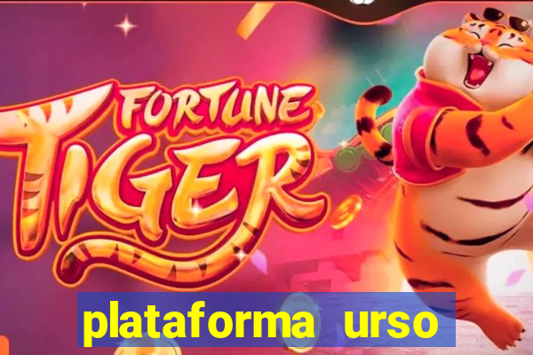 plataforma urso polar 777